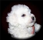 Zoey