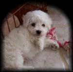 casper