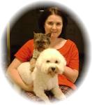 Sugar, Bichon puppy living in PA with Brenda and her family