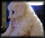 Zoey