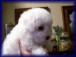 Zoey